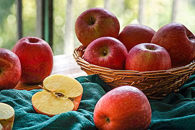 Paradox新模拟游戏《FOUNDRY》5＆2推出EA版